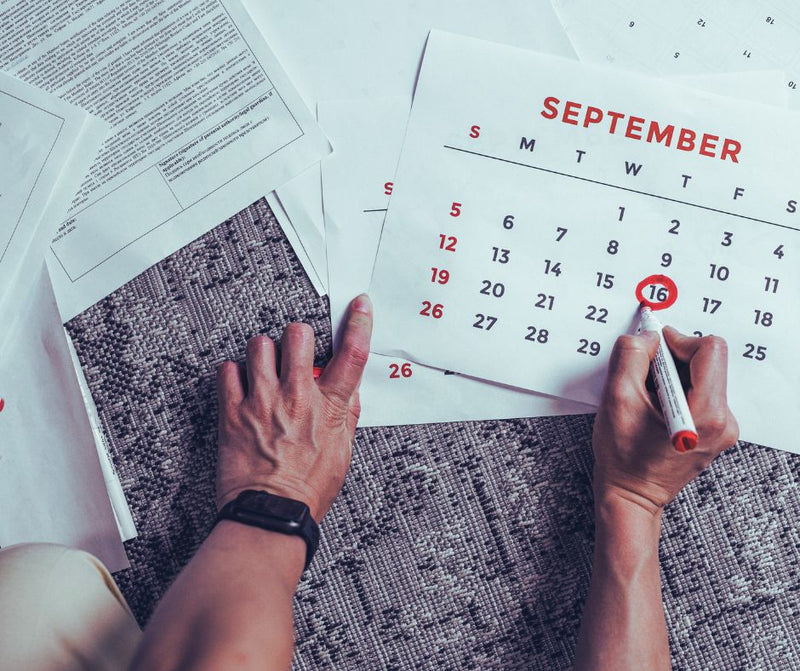 Deadlines Change. Installation Shouldn't: Why Europress Press-Fit Systems Keep Projects on Schedule