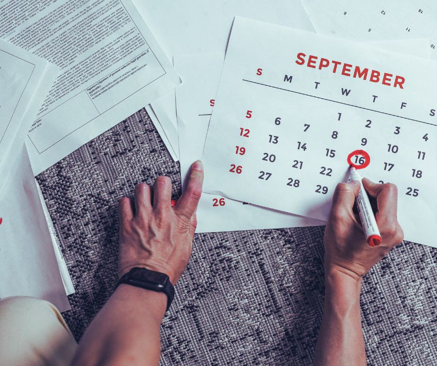 Deadlines Change. Installation Shouldn't: Why Europress Press-Fit Systems Keep Projects on Schedule