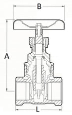 Brass gate valve by Airenergy Dev with 1/2 inch size and durable construction for controlling water flow.