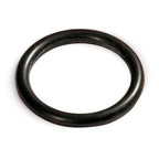 Black rubber O-ring on a white background