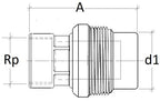 Airenergy Dev female adaptor fitting with BSP threads, connecting pipes securely with a durable metal design.