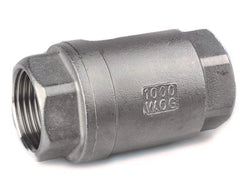 SS 2 piece Non Return Valve