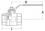 SS Ball valve