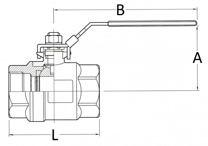 SS Ball valve